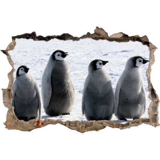 Mignon Manchot Empereur Chick Mur Percee En 3d Look Mur Ou Format Vignette De La Porte 62x42cm Stickers Muraux Sticker Mural Cdiscount Maison