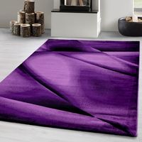 Tapis de salon design moderne, facile d'entretien, tapis moelleux, Violet Tapis 80 x 150 cm
