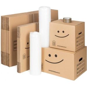 BOXPACKING Cartons Déménagement Lot de 6 Boite Carton Demenagement,  Emballage 50x30x30 cm Avec Poignées Boite Rangement Car89 - Cdiscount  Bricolage