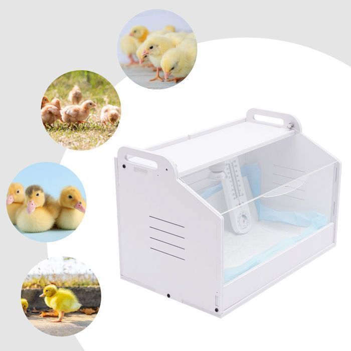 Meilleurs prix pour Boîte d'élevage pour Poussins - Incubateur de Poussins - Habitat pour Reptiles, Poulet, petit Canard, Volaille - avec Thermomètre