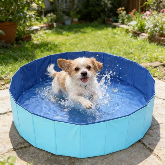 Piscine pour Chien Baignoire Chien Piscine Pliable en PVC Anti-Glissant Baignoire Pliable pour Animaux de Compagnie - M - M
