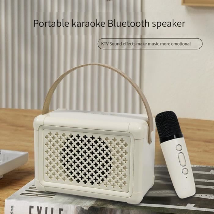 Mini machine à karaoké, haut-parleur Bluetooth portable, machine à