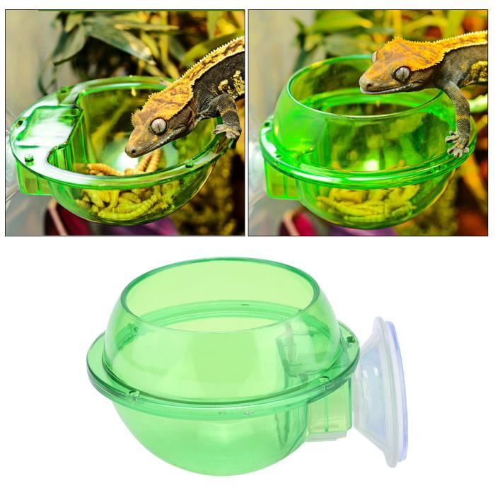 Mangeoire à Ventouse Pour Reptiles (caméléon, Gecko) - Récipient D'eau/ Nourriture Facile à Nettoyer - Pour Terrarium Salon, Balcon