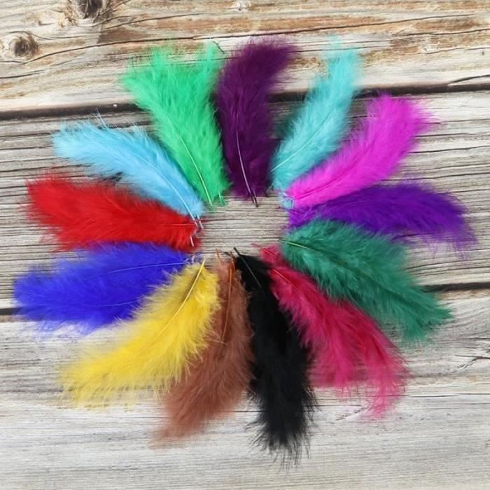 Plume D'ara Rouge Et Bleue, 22 à 26 Pouces, Mue Naturelle, Fabrication Américaine