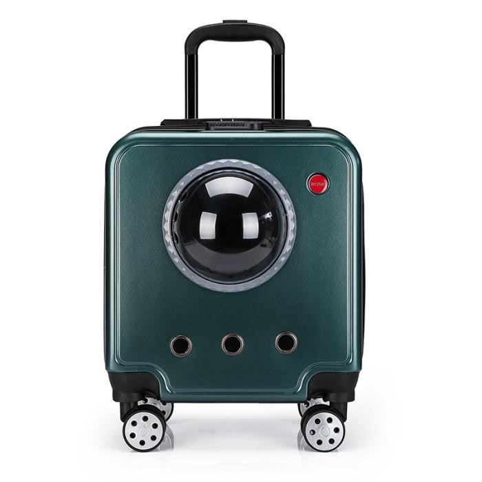 Meilleurs prix pour Boîte pour animaux de compagnie, Convient pour les animaux de compagnie voyageant, Disponible en 2 housses remplaçables - vert