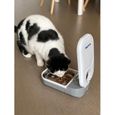 Closer Pets Mangeoire automatique pour animaux de compagnie à un repas avec inserts en acier inoxydable (C100)-2