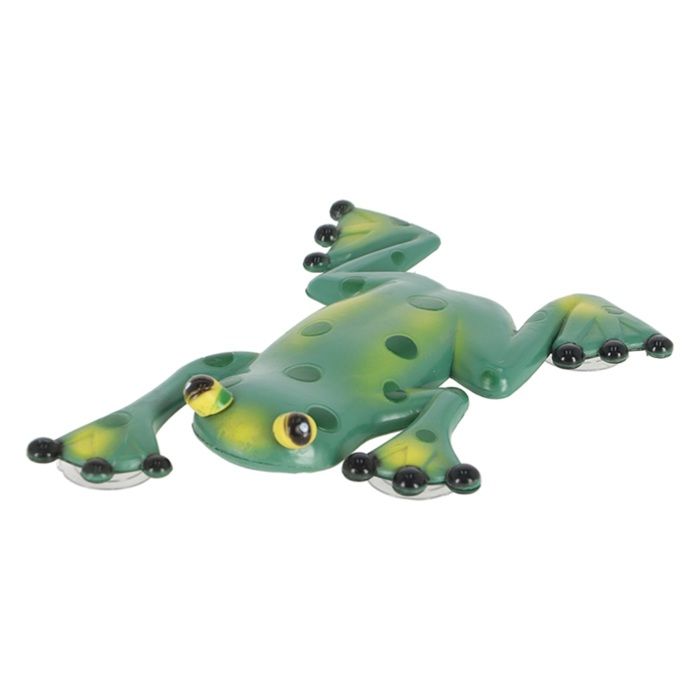 Accessoire Piscine Thermomètre Piscine Flottant Grenouille