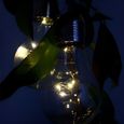 Ampoule solaire décorative - Conception Française - Lot de 2 - 5 leds - Energie solaire-0