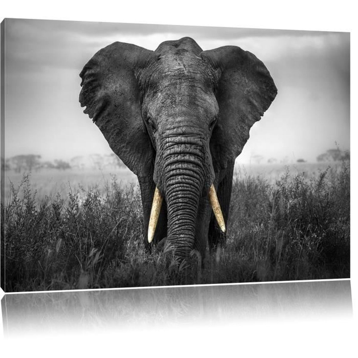 Sculptures Cuisine Maison Elephant Geometrique En Metal Decoration Murale En Metal Decoration Murale En Metal 60x40cm Noir