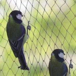 Tempsa Filet Anti Oiseaux Cultures Etang Protection Fruits Legumes
