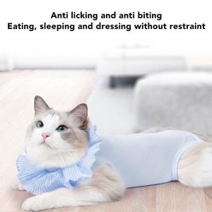 Habit pour hotsell chat