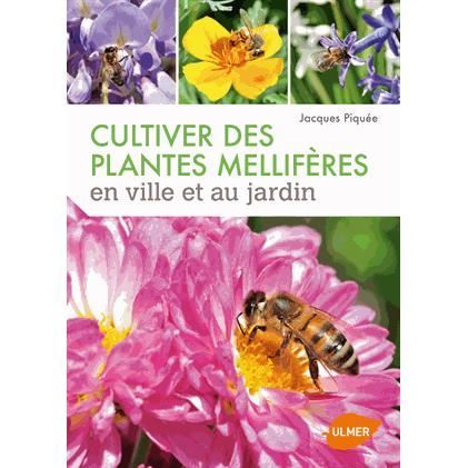 Cultiver des plantes mellifères en ville et au jar