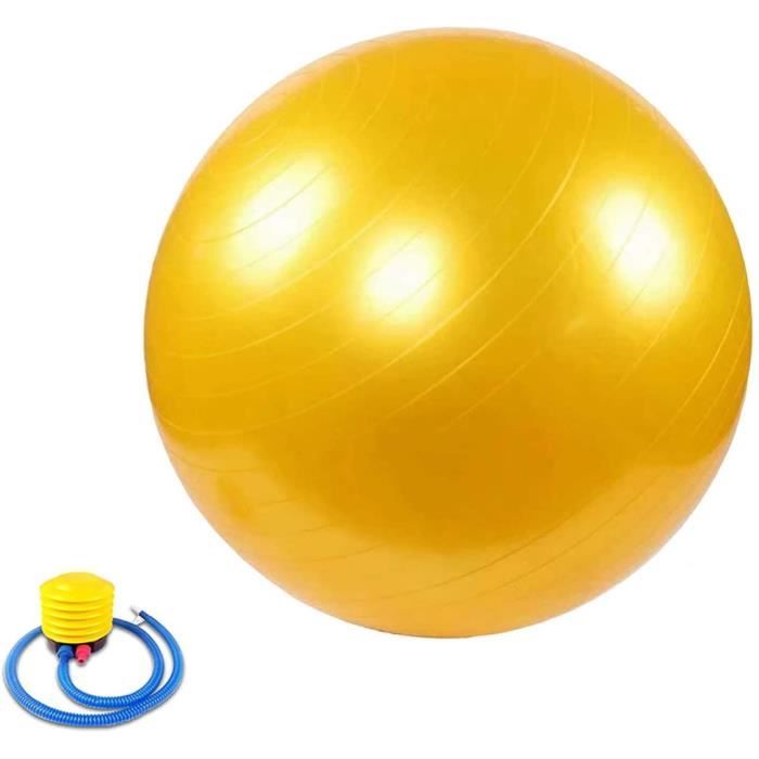 n dexercice Gym Ball Anti Burst Ballon Suisse avec Pompe 45cm 55cm 65cm 75cm 85cm 95cm pour Fitness Pilates Yoga GymBALL 1010