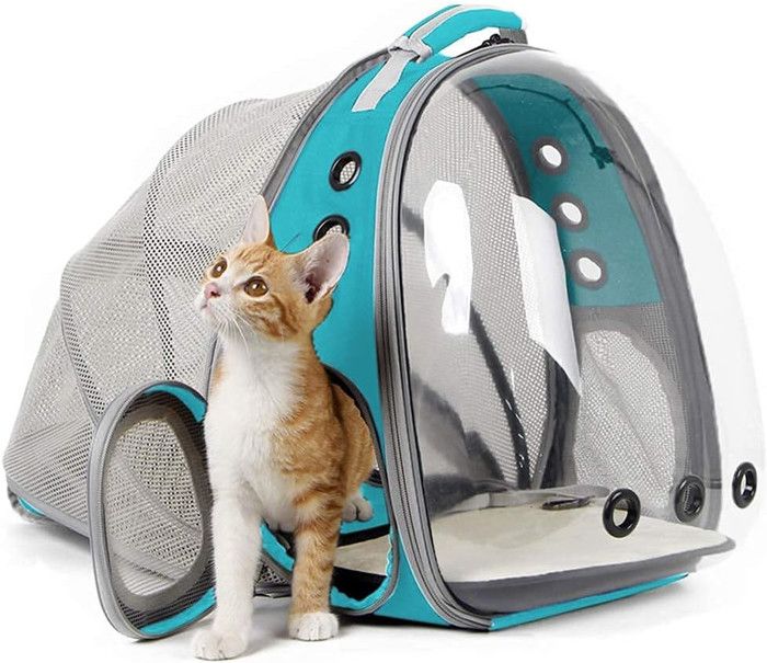 Comparer les prix de Sac à dos de transport pour chat - Extensible Bulles transparent pour petit chien jusqu'à 5 kg, chat - Vert