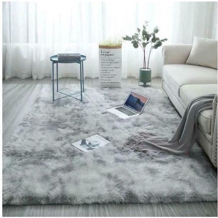 Taille Standard Tapis Salon Tapis Salon 200x280 Achat Vente Pas Cher