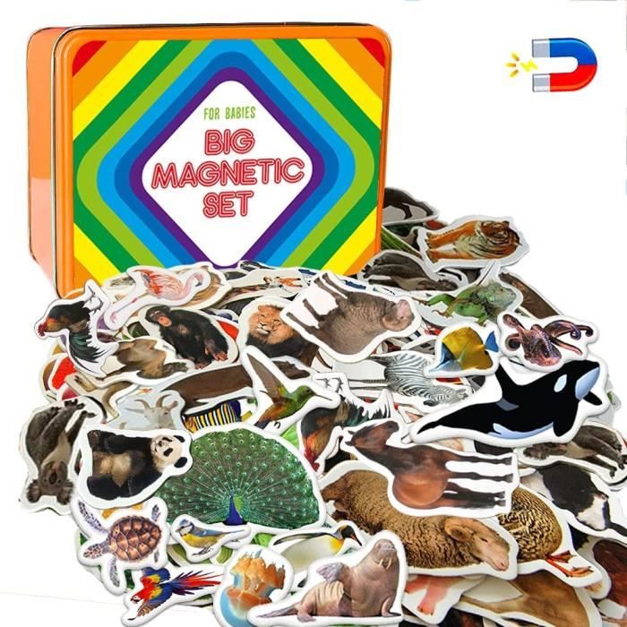 6 x Perroquet magnet frigo aimant animaux pour enfant - Aimants décoratifs  - 6pc
