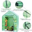 COSTWAY Serre de Jardinage 2? Serre à Tomates 143x73x195cm Anti-UV Tente de Plante en Acier et PE 4 Etages Vert Transparent-1