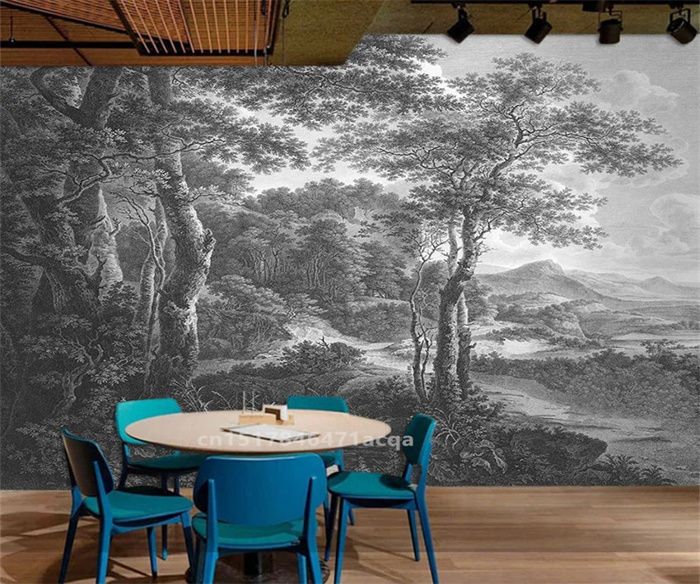 Papier Peint Panoramique Art nordique 3D paysage noir et blanc cascade ...