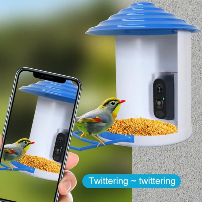 Mangeoire intelligente pour oiseaux avec caméra 1080p HD, Version