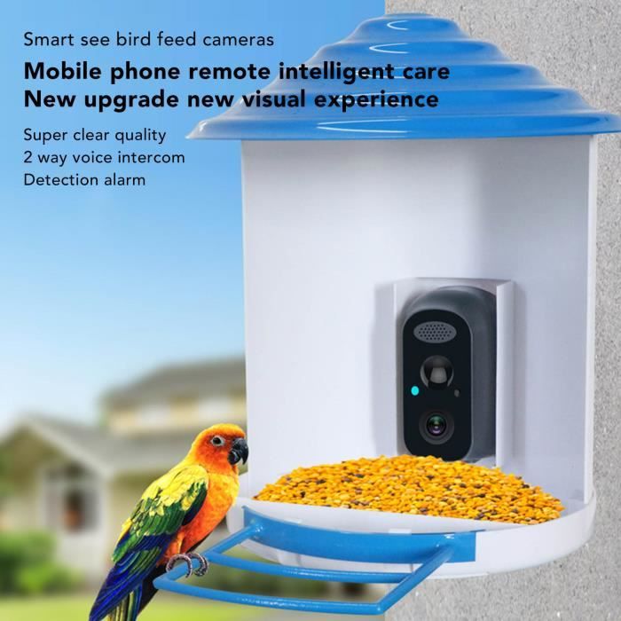 Mangeoire Intelligente pour Oiseaux, Dispositif d'Alimentation