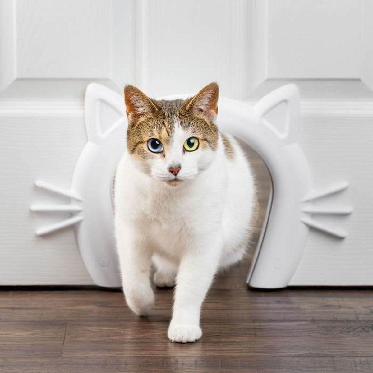 Petsafe® - Porte Intérieure De Couloir Pour Chats Pour Animaux De  Compagnie, Pour Petits, Moyens Et Grands Chats - Cdiscount Animalerie