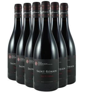 VIN ROUGE Saint-Romain Sous le Château - Rouge 2020 - Domaine Germain Père et Fils - Vin Rouge de Bourgogne (6x75cl)