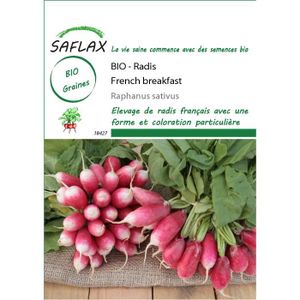 graines radis bio cdiscount