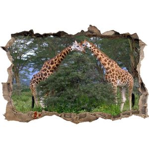trotteur girafe