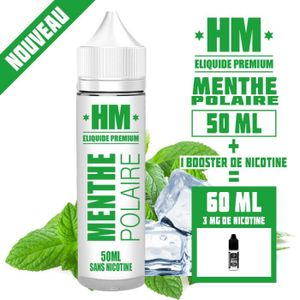 elfbar nachfüll pod läuft aus E-liquide sel de nicotine Menthe Polaire - À Toulouse