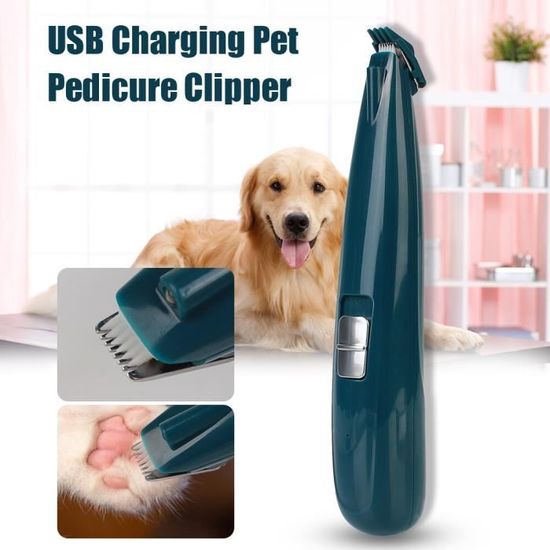Tondeuse à Cheval 1500mAh – Faible Bruit – Sans Marque – Neuf