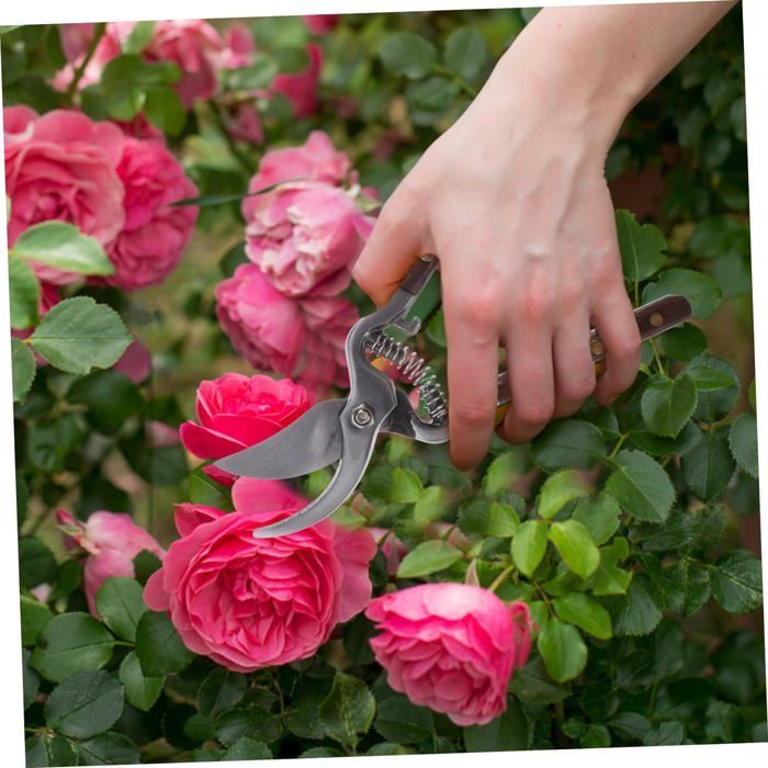 Sécateur Multifonction Tout Usage – Ciseaux De Jardin Tranchants En Inox Rouge