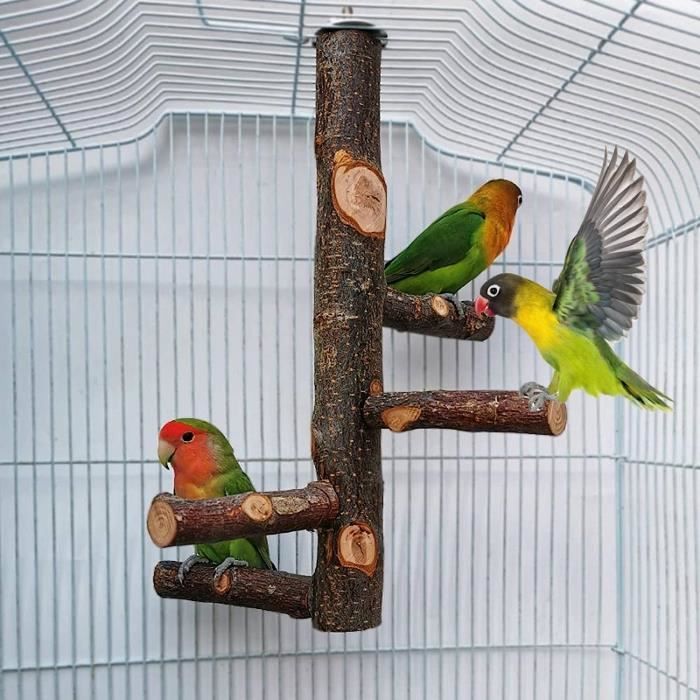 Friandises Pour Oiseaux En Bâtonnets – Récompenses éducatives Pour Perruches, Calopsittes, Canaris, Perroquets | 2 Bâtonnets De 200g