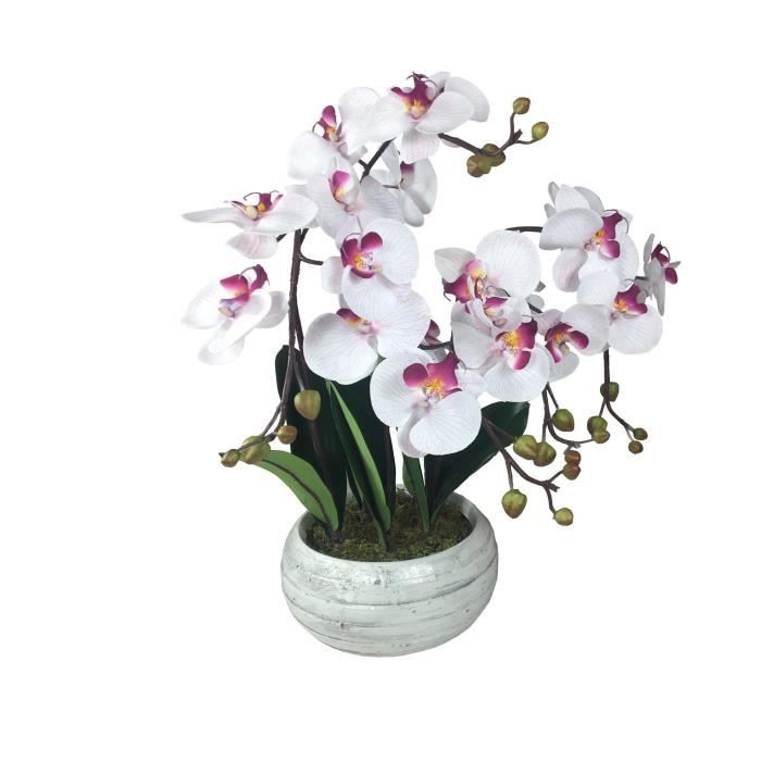 Composition artificielle Orchidée zen blanche striée mauve 5 tiges - 55cm -  Cdiscount Maison