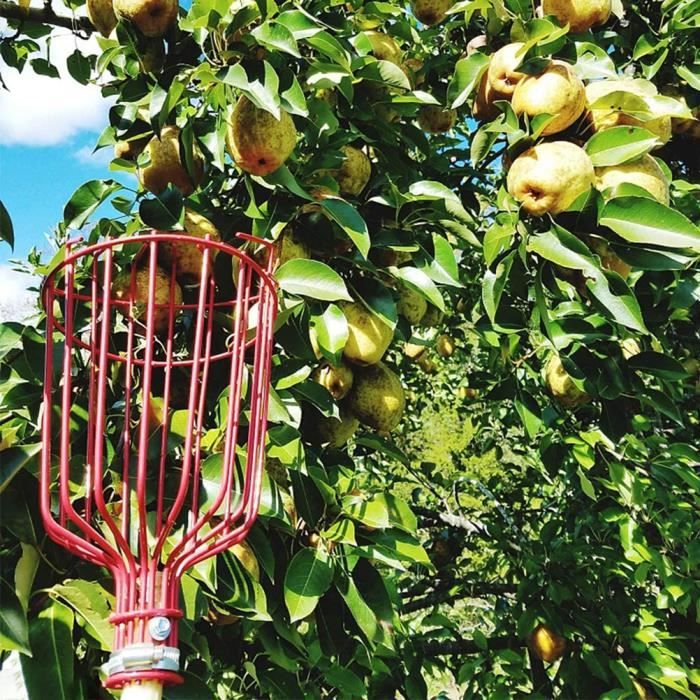 Outil de Cueillette de Fruits,Cueilleurs de Fruits Outils de Cueillette de Jardinage Métal