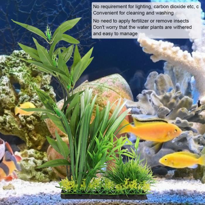 Acheter Colle pour Aquarium, plantes, herbe, mousse de corail, colle  instantanée, accessoires pour Aquarium