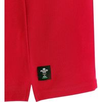 Maillots de Foot Pays de Galles 2025 2026 | Foot Soccer Pro