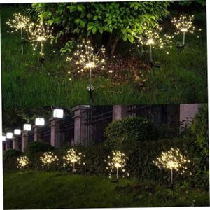 Projecteur Solaire Jardin IP65, LED Automatique, Lumière Colorée