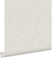 papier peint uni gris clair - 53 cm x 10,05 m - 148304
