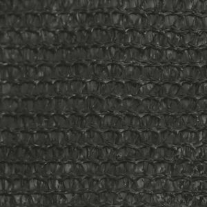 VOILE D'OMBRAGE Voile d'ombrage 160 g-m² Anthracite 2,5x4 m PEHD -ROE