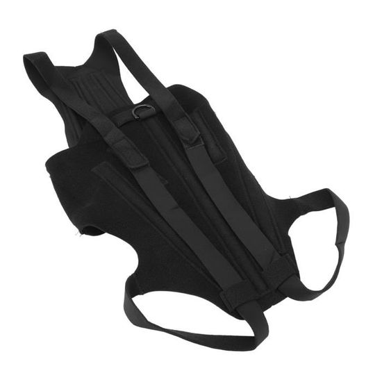 Support Lombaire Chien IVDD Attelle De Hanche Pour Chiens – Ceinture Dorsale Pour IVDD – Anneau En D Et Bandes Réfléchissantes Pour La Prévention Du Dos Des Chiens IVDD, Aide à Soulager