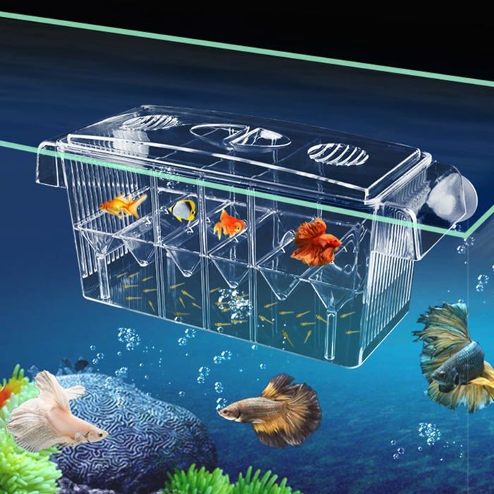 Meilleurs prix pour Boîte dincubation pour aquarium à double paroi transparente pour isoler et protéger les petits poissons crevettes et guppys