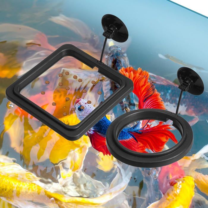Lot De 2 Anneaux DAlimentation Pour Poissons DAquarium - Avec Ventouses - Distributeur Automatique De Nourriture Pour Poissons R