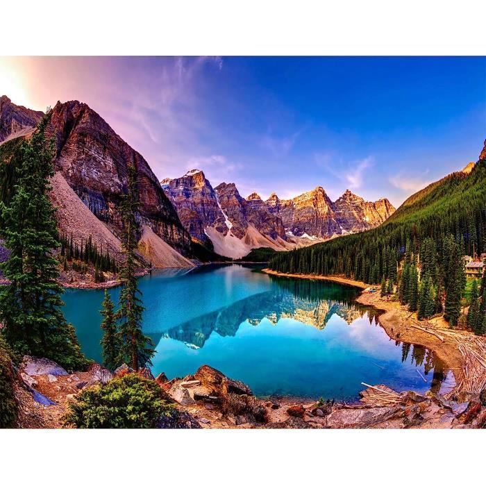 5D Diamond Painting Kit Complet, Tigre Blanc Sur Montagne Enneigée,P,30