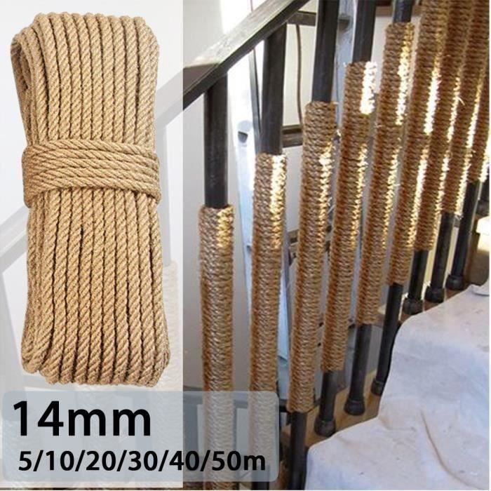 Corde De Plomb Pour Cheval – Cuir Marron Avec Chaîne – Équitation