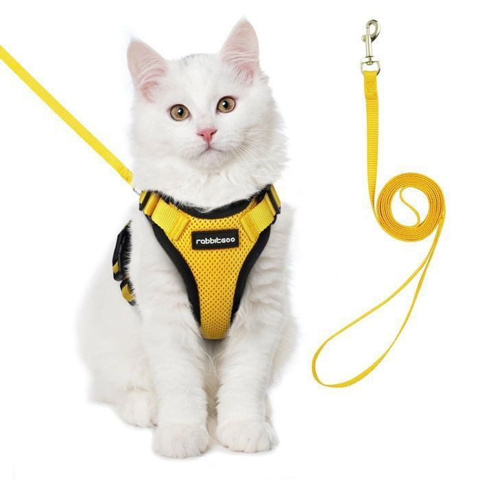 Meilleurs prix pour Rabbitgoo Harnais Chat Harnais pour Chat/Petit Chien Laisse Harnais Chat Jaune S Collier Harnai Chat Réglable Respirant avec Laisse
