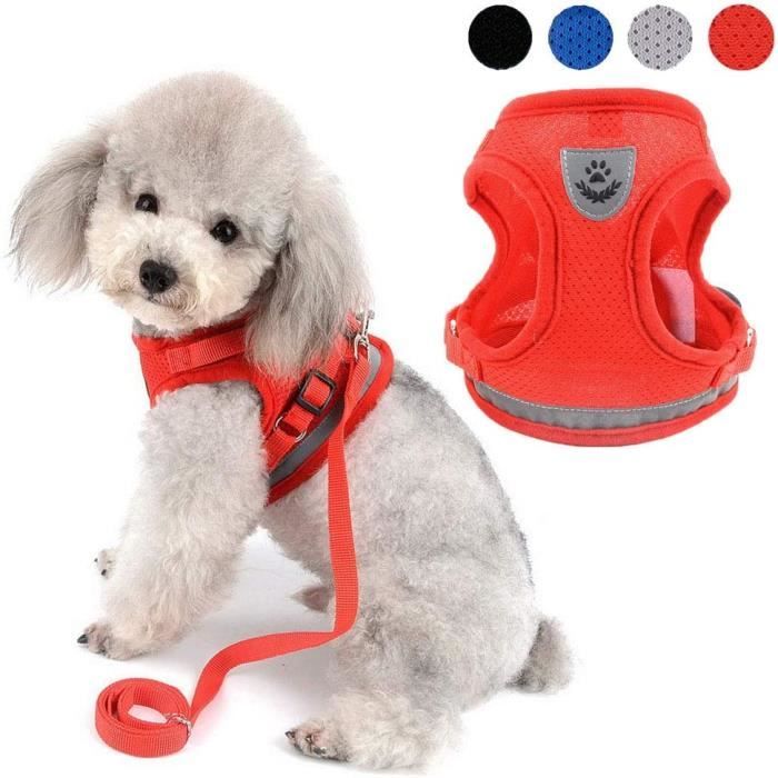Harnais pour Chien Petite Taille, Step-in Harnais pour Chiens Réfléchissant  Respirant, Harnais Petit Chien Chihuahua, Harnais Chien Anti Traction avec