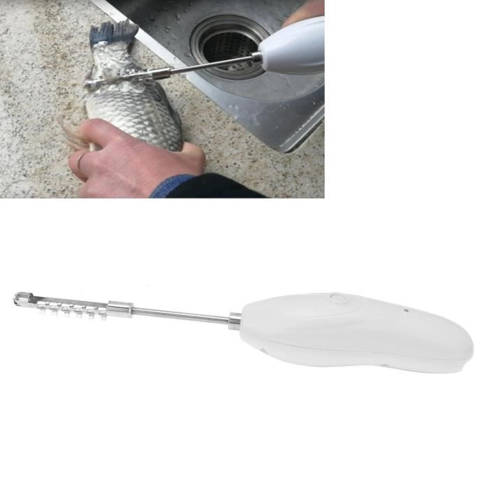 Grattoir à écailles De Poisson Manuel Vert - Ustensile De Cuisine Pratique Et Sécuritaire Pour Enlever Les écailles Rapidement