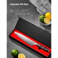 DEIK Couteaux de Chef, Couteau de Cuisine Damas 20cm Profesional en Acier Japonais AUS-10 à 67 Couches, Couteau Japonais -3