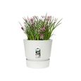 ELHO Pot de fleurs rond Greenville 40 - Extérieur - Ø 39 x H 36,8 cm - Blanc-3