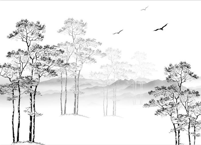 Papier Peint Panoramique 3D Soie Noir et Blanc Nature Foret,300x210cm ...